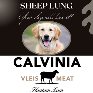 Sheep Lung