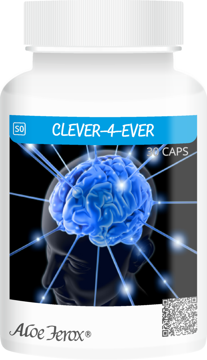 Clever-4-Ever
